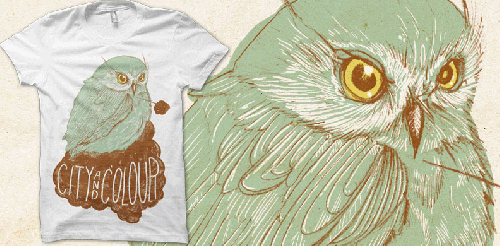 Owl Womens White Tshirt by City And Colour