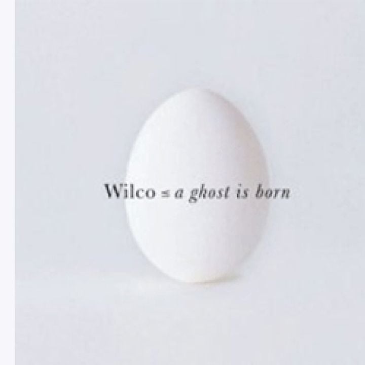 A Ghost Is Born (CD)