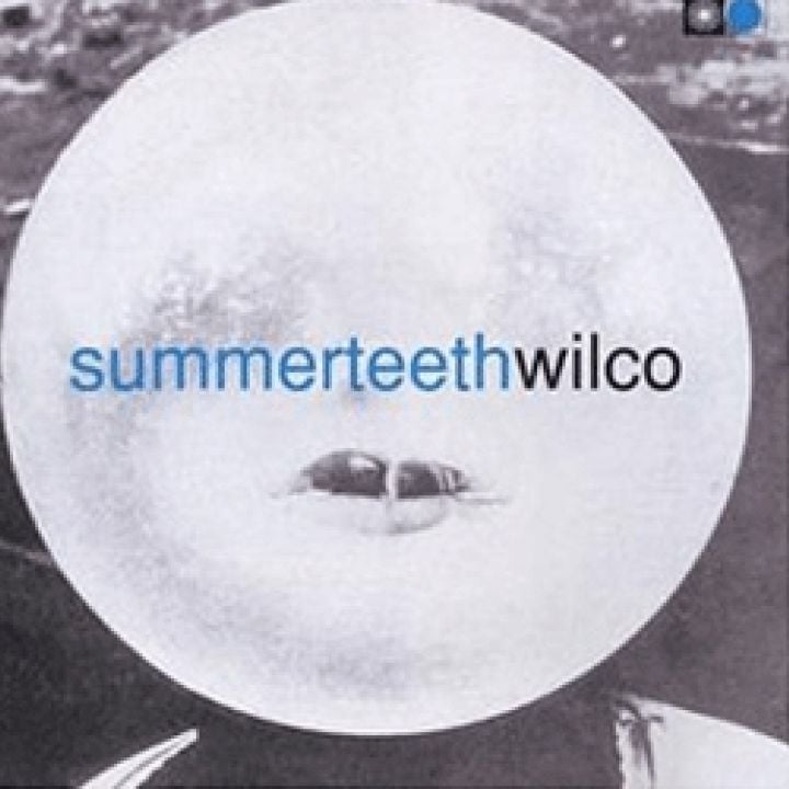 Summer Teeth (CD)