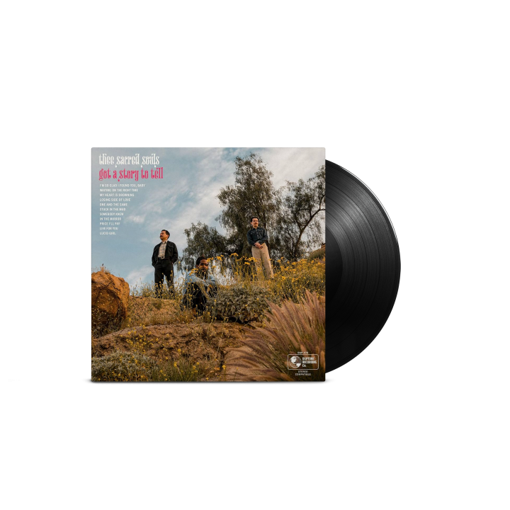 STORY TO TELL VINYL (LP)
