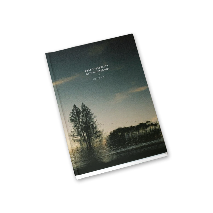Responsibility Of The Dreamer Journal