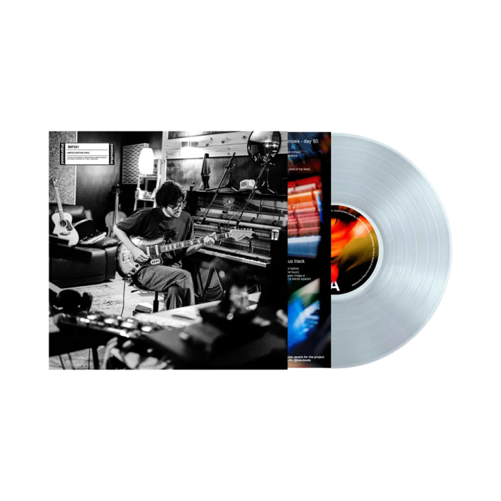 ideas of the day - vol. 1 - Vinyl LP