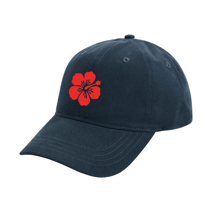 NAVY CAP