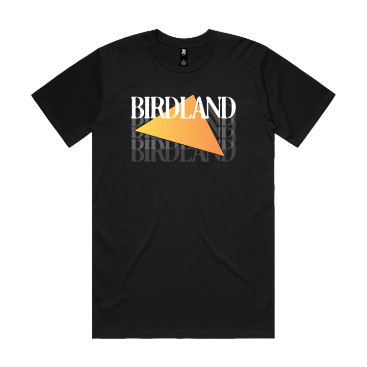 Triangle Logo Black Tshirt