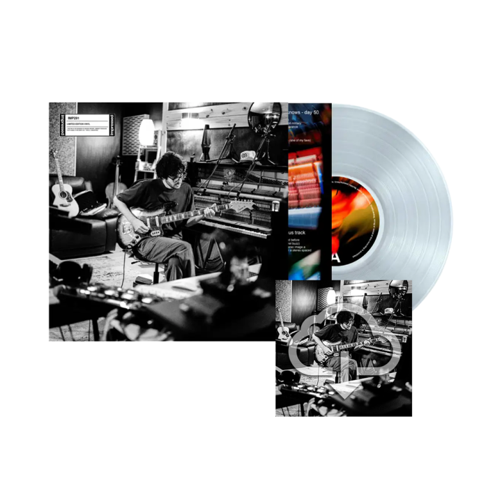 ideas of the day - vol. 1 - Vinyl LP + Digital Download