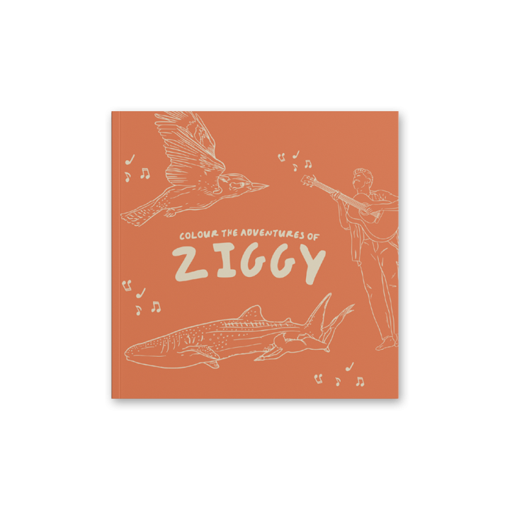 Colour the Adventures of Ziggy