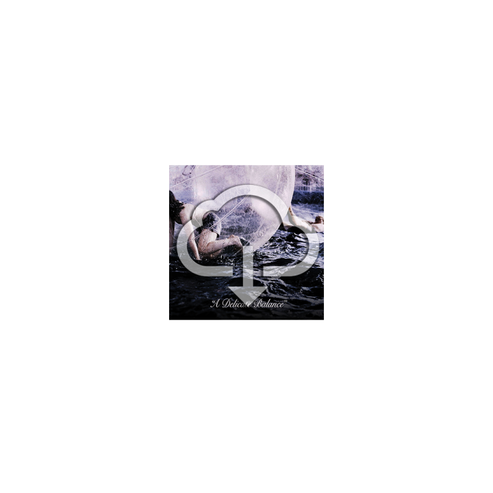 A Delicate Balance - Digital Download