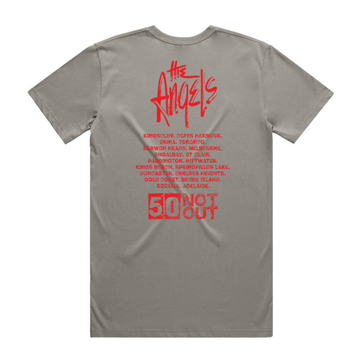 50 Not Out Light Grey Tour Tshirt
