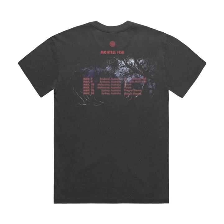 DREAM DEER TOUR FADED BLACK TSHIRT
