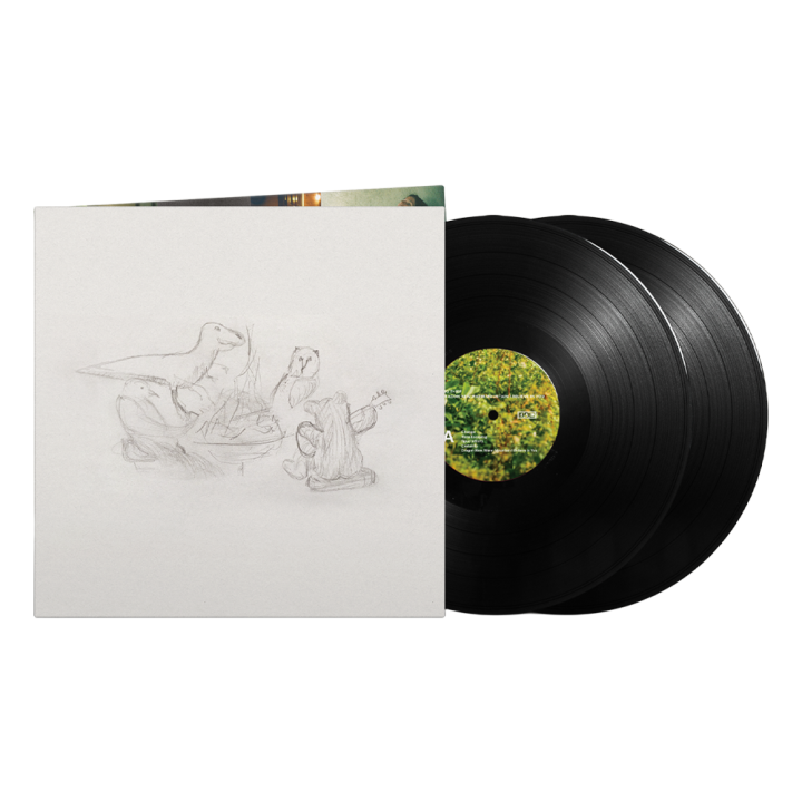 Dragon New Warm Mountain I Believe In You Vinyl LP