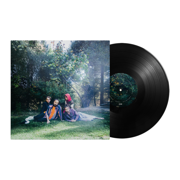 U.F.O.F. Vinyl LP