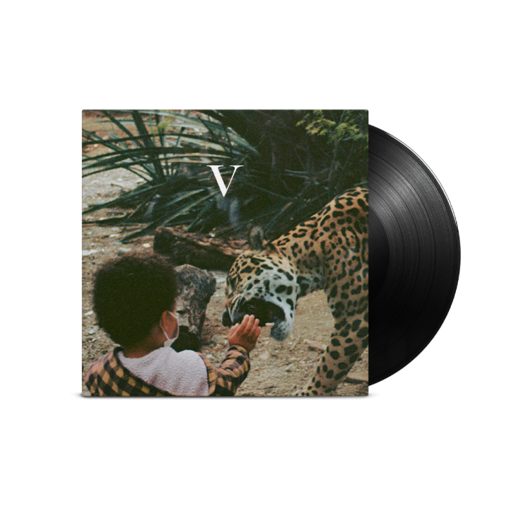 V (Vinyl)