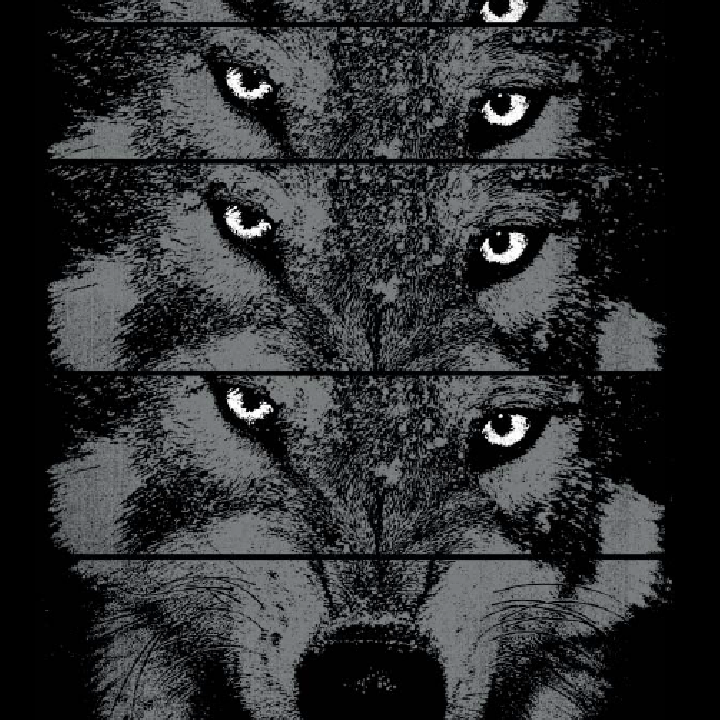 Alpha Wolf Black Singlet