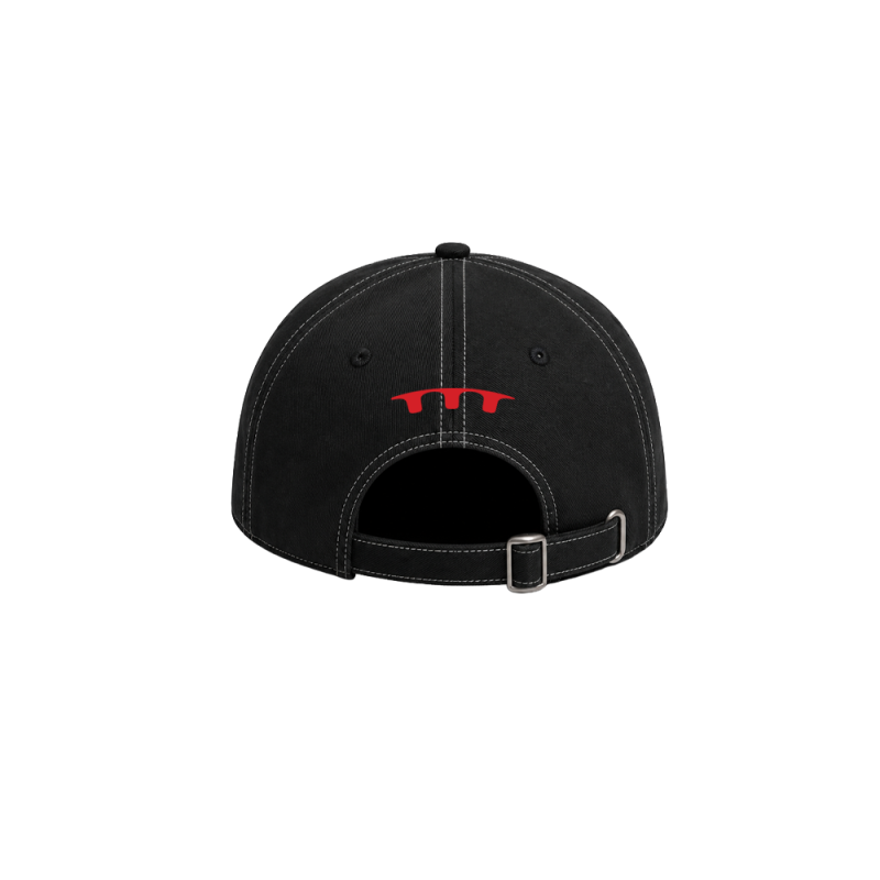 Sungazer Custom  Contrast Stitch Cap + Digital Download by Temper Trap