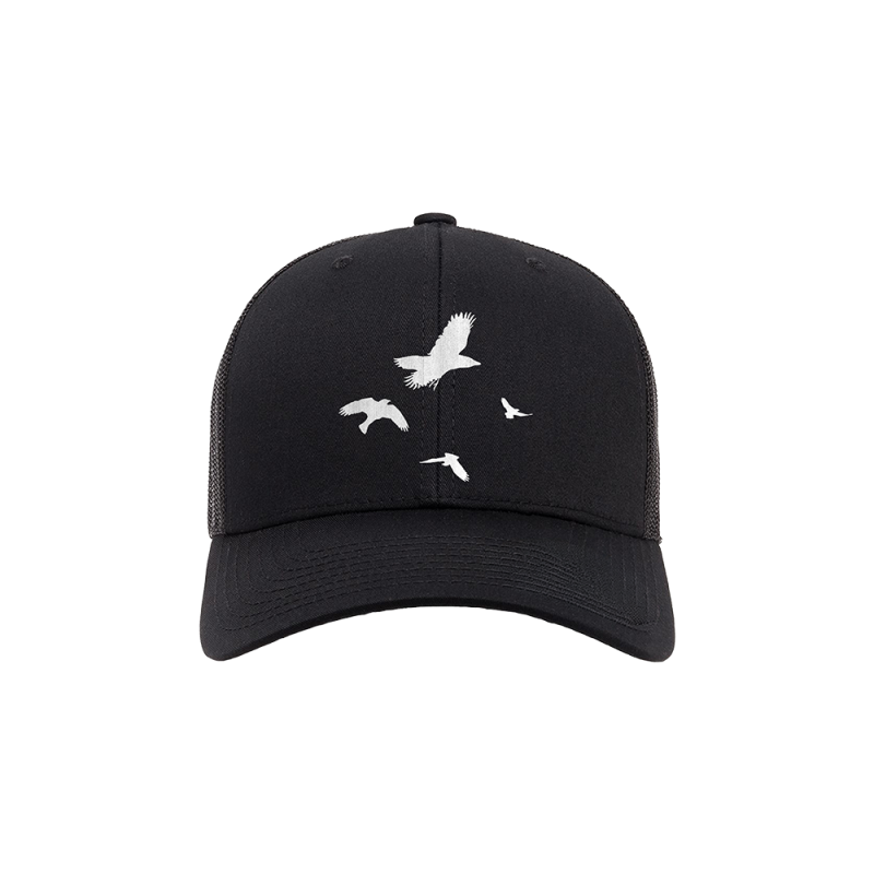 BLACK TRUCKER - BIRDS by Shinedown