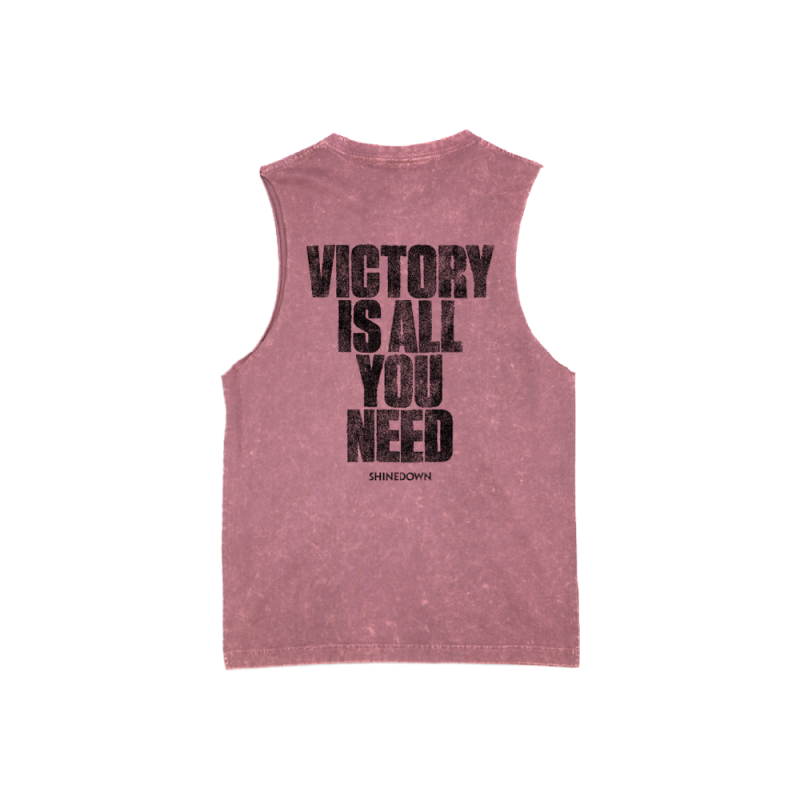 CUT CORD LYRICS PINK TANK by Shinedown