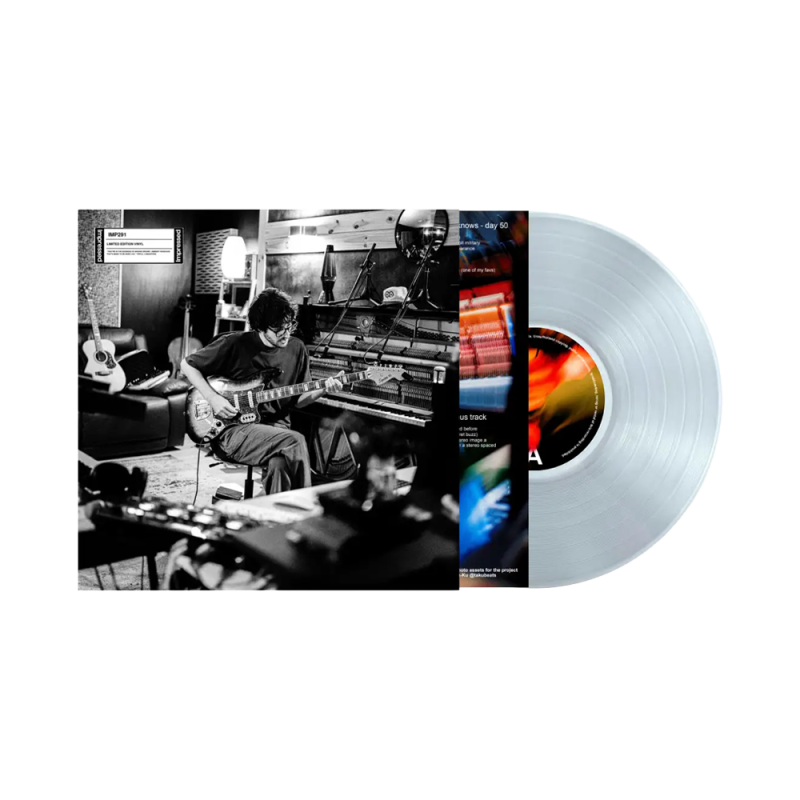 ideas of the day - vol. 1 - Vinyl LP by Ethan French