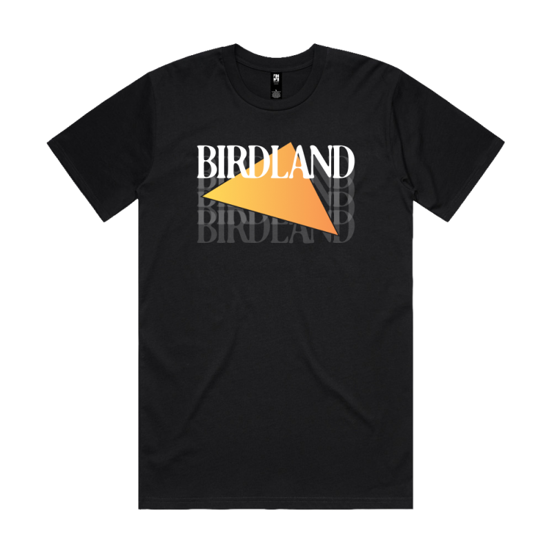 Triangle Logo Black Tshirt by Birdland
