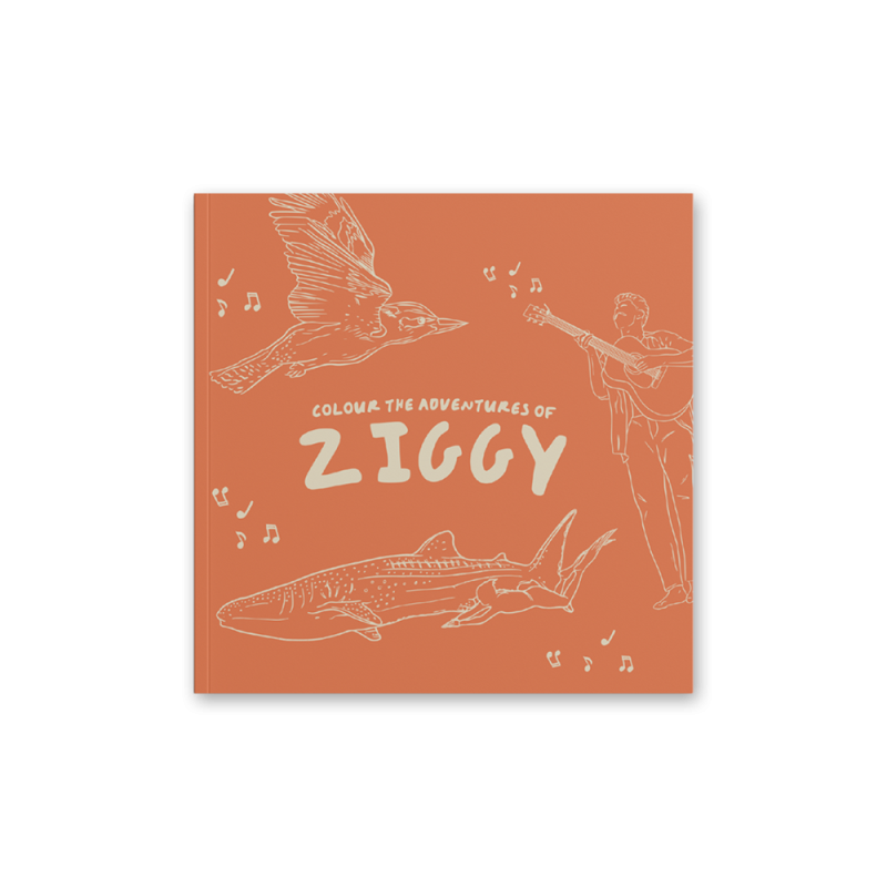 Colour the Adventures of Ziggy by Ziggy Alberts