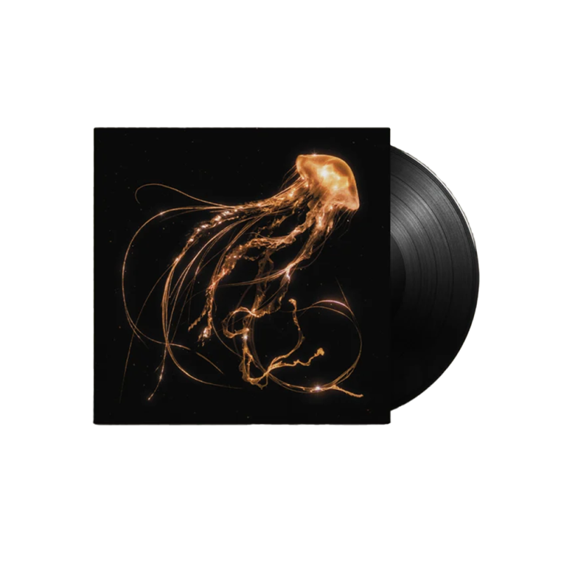 Back to the Water Below Black Vinyl 1LP + Slipmat by Royal Blood