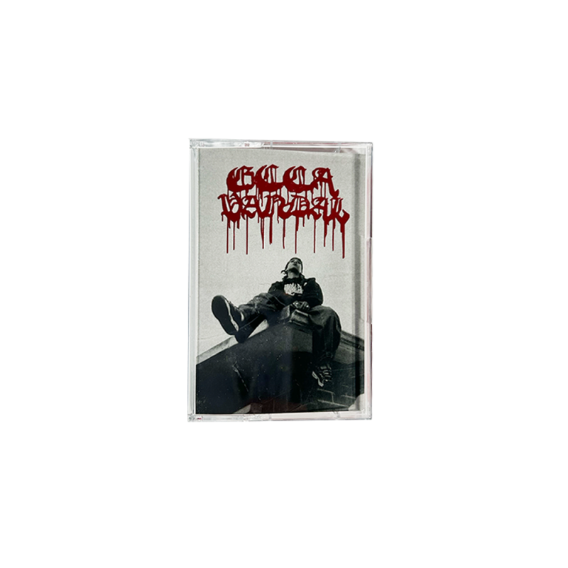 Bleed But Never Die Cassette by Ecca Vandal