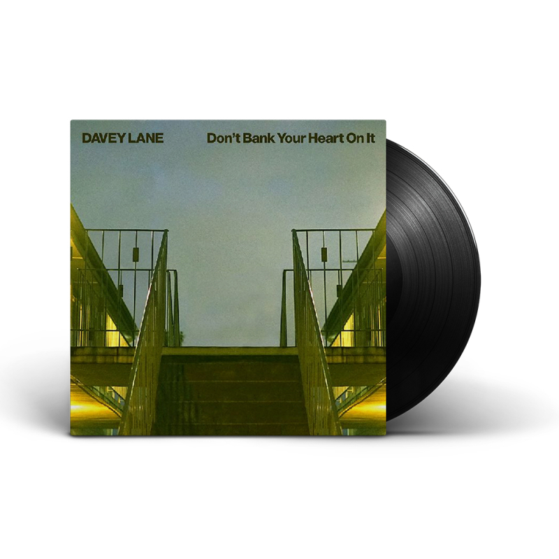 Dont Bank Your Heart On it LP Vinyl by Davey Lane
