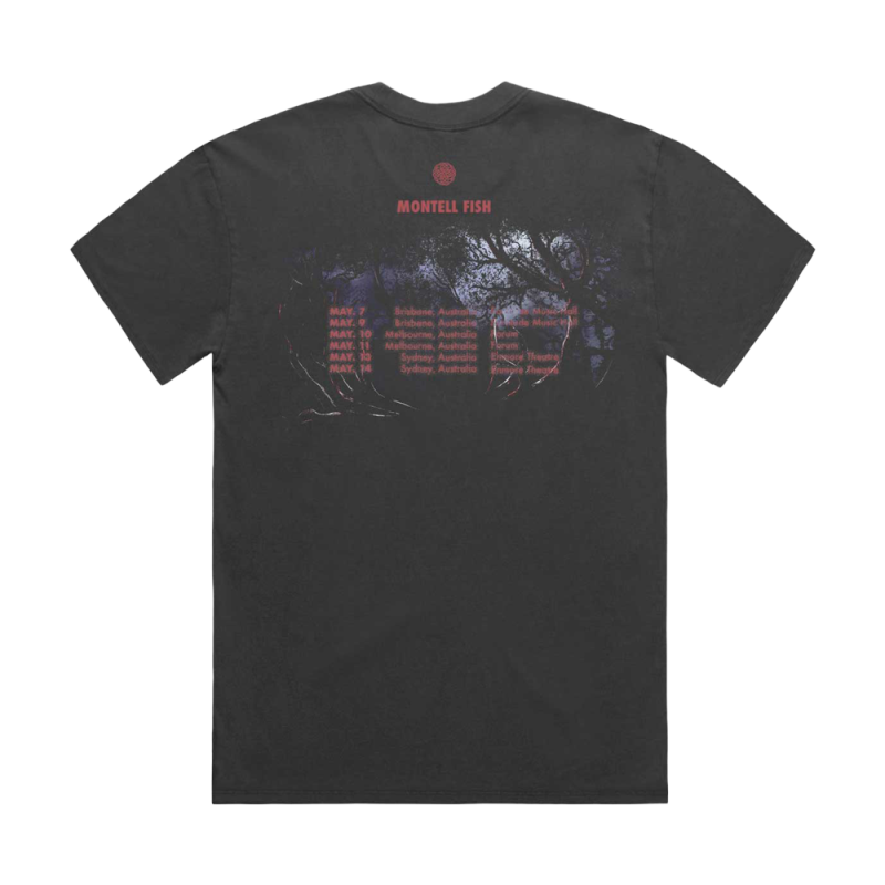 DREAM DEER TOUR FADED BLACK TSHIRT by Montell Fish