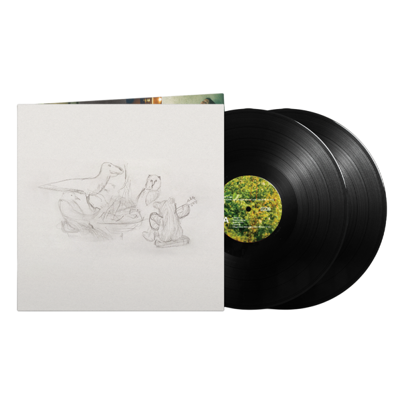 Dragon New Warm Mountain I Believe In You Vinyl LP by Big Thief