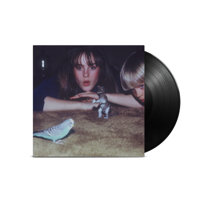 Masterpiece Vinyl LP by Big Thief