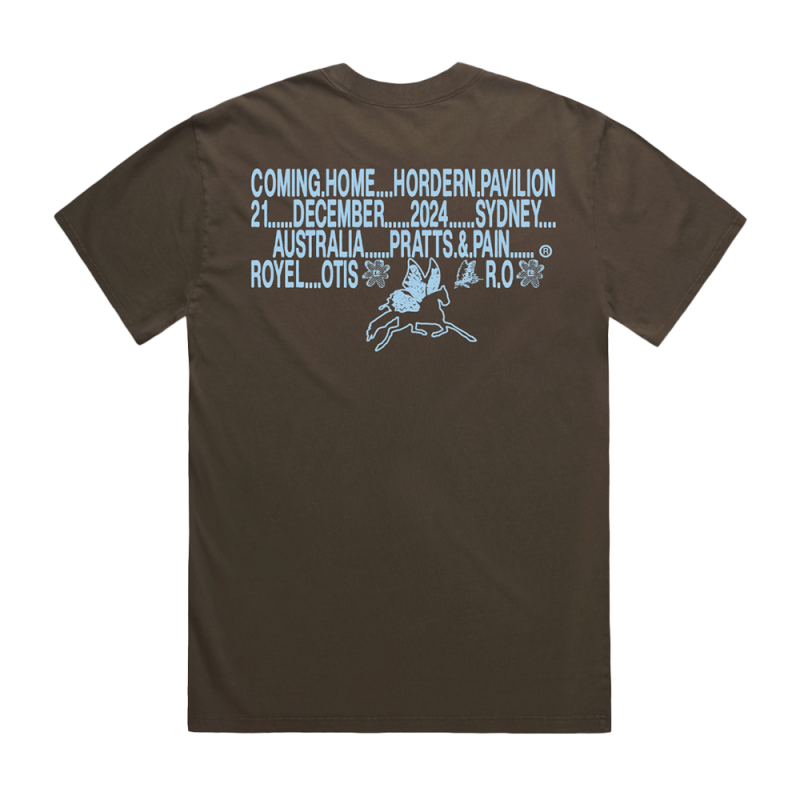 HomeComing Faded Brown Tshirt by Royel Otis