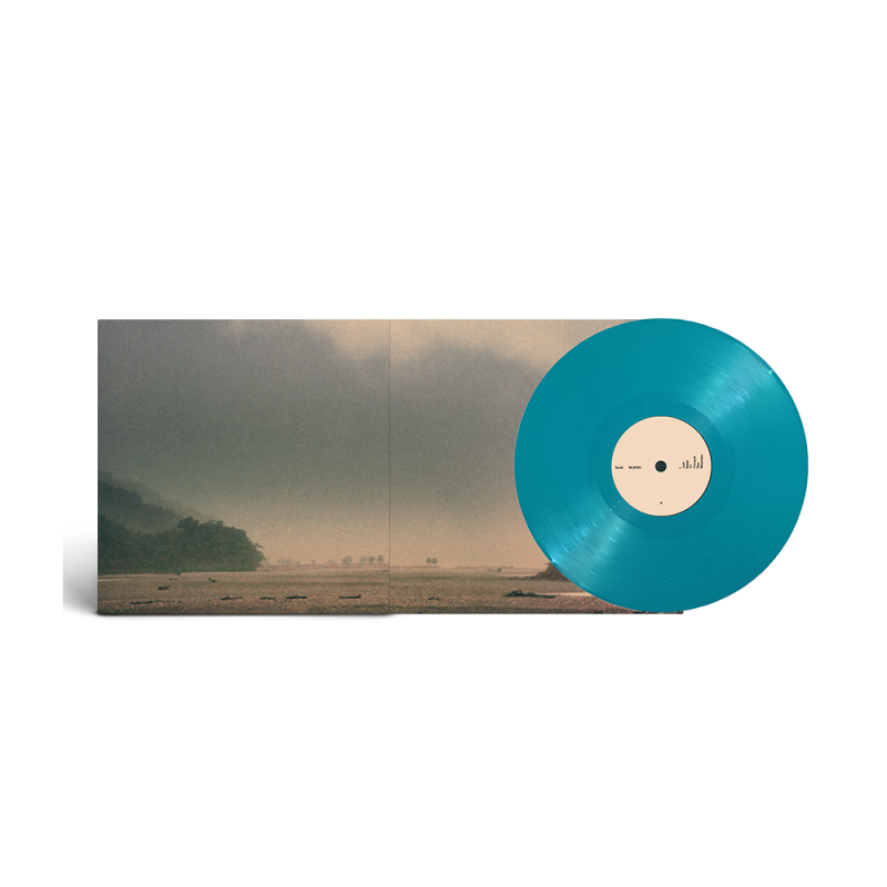 I Just Need To Conquer This Mountain - Aquamarine Vinyl LP by Sarah Blasko