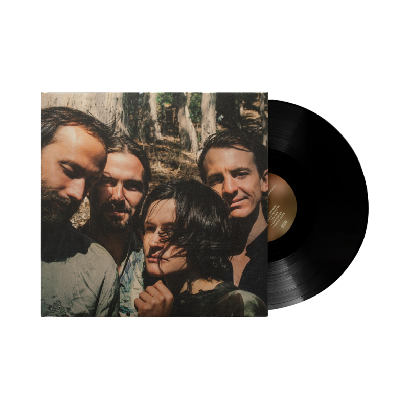 Two Hands Vinyl LP by Big Thief