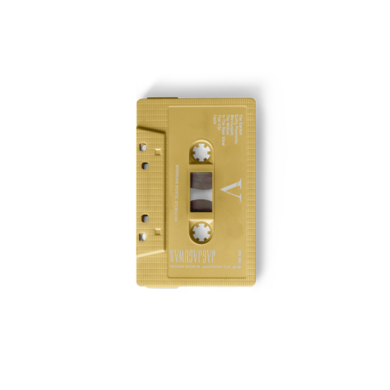 V (CASSETTE) by Unknown Mortal Orchestra
