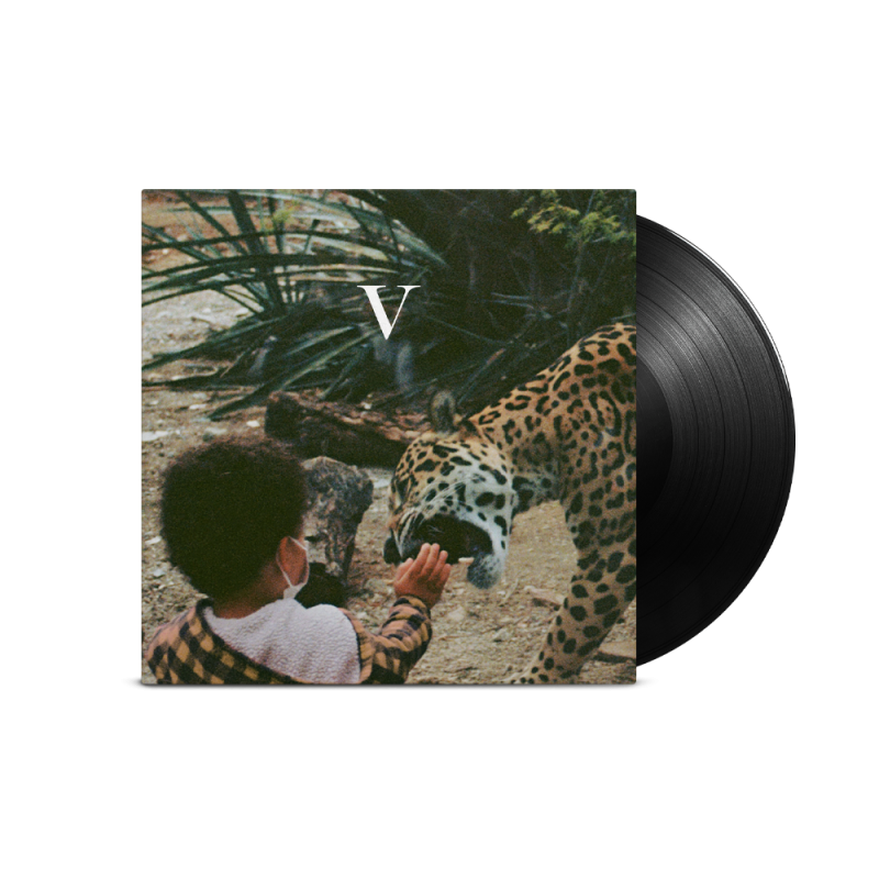 V (Vinyl) by Unknown Mortal Orchestra